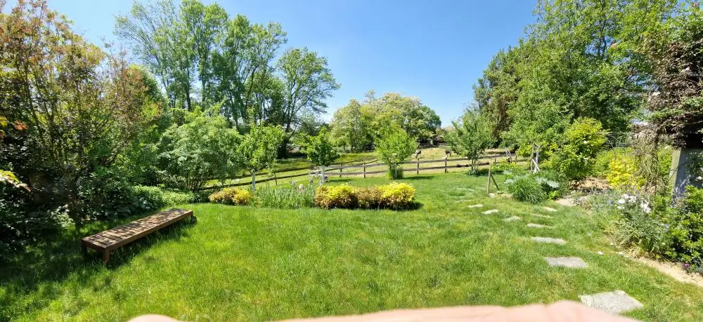 depuis-le-salon-de-jardin: vue-sur-le-parc-à-chevaux
